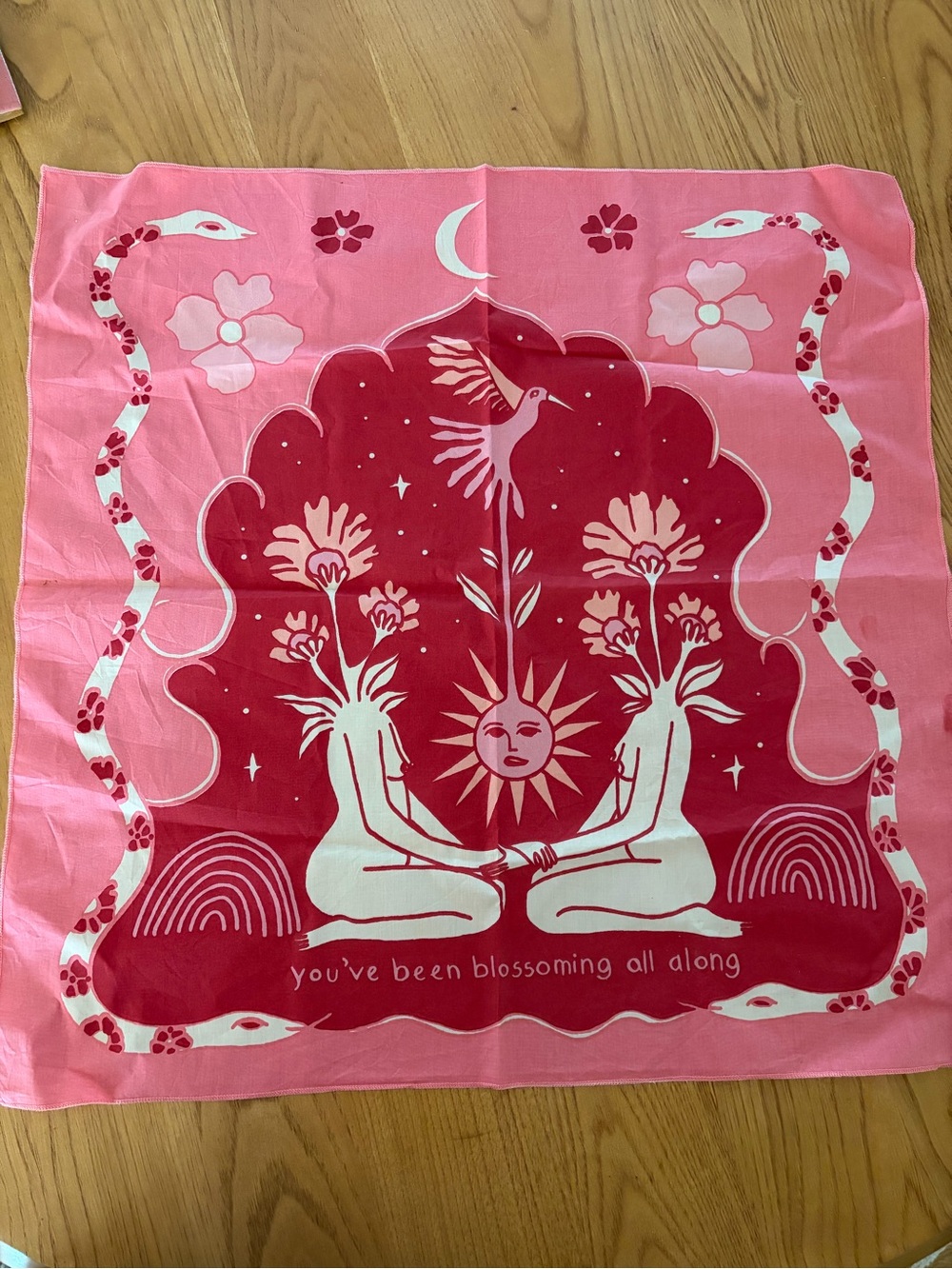 Christy Dawn Bandana